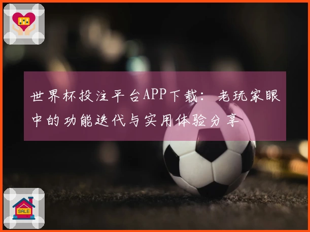 世界杯投注平台APP下载：老玩家眼中的功能迭代与实用体验分享