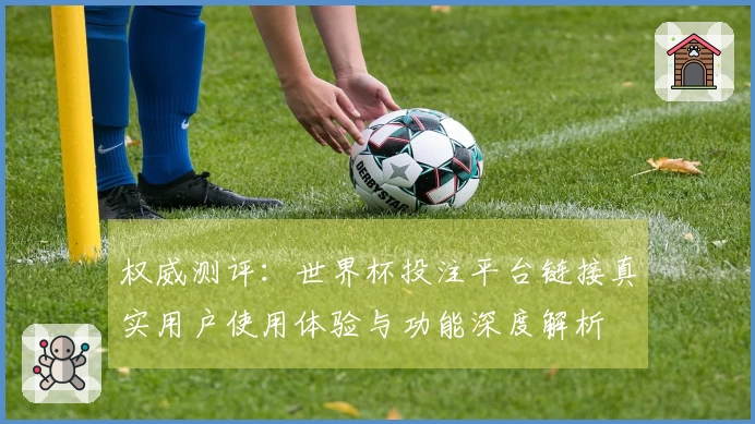 权威测评：世界杯投注平台链接真实用户使用体验与功能深度解析