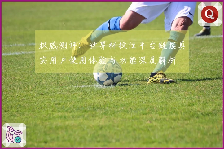 权威测评：世界杯投注平台链接真实用户使用体验与功能深度解析