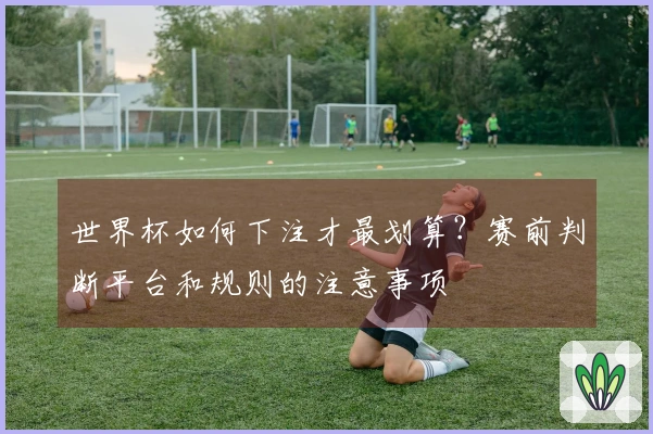 世界杯如何下注才最划算？赛前判断平台和规则的注意事项
