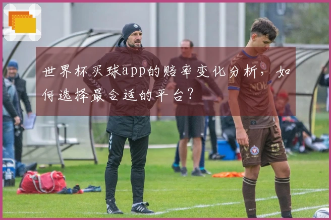 世界杯买球app的赔率变化分析，如何选择最合适的平台？