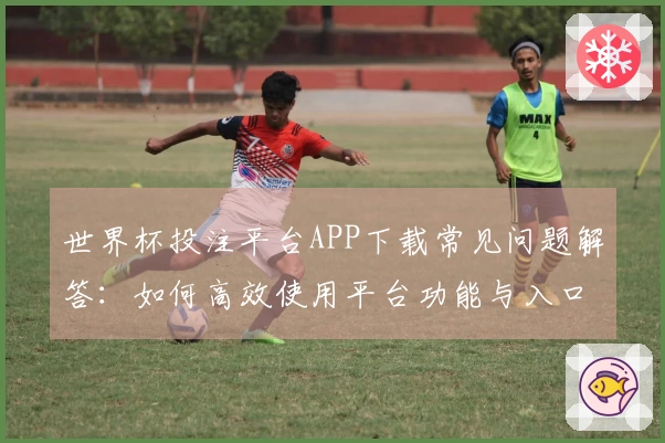 世界杯投注平台APP下载常见问题解答：如何高效使用平台功能与入口指南