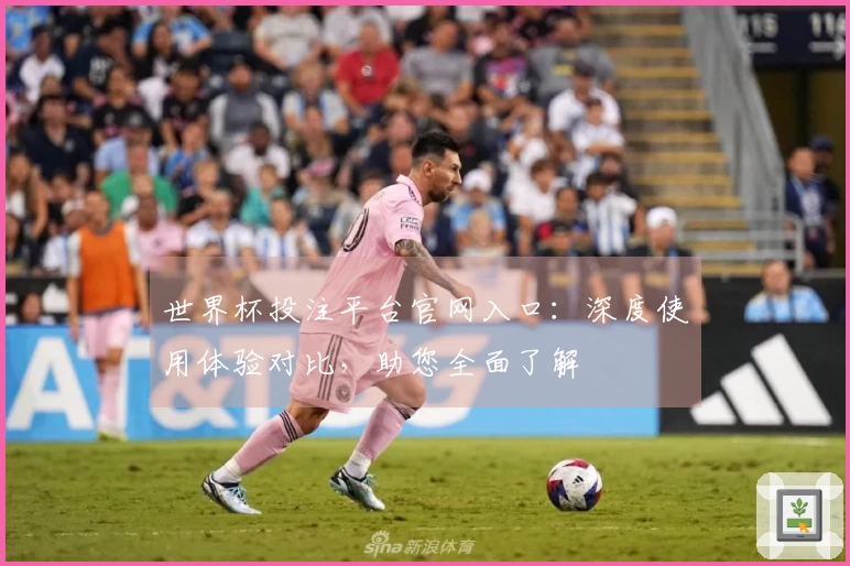 世界杯投注平台官网入口：深度使用体验对比，助您全面了解