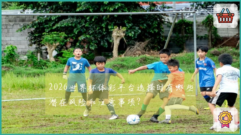 2026世界杯体彩平台选择时有哪些潜在风险和注意事项？