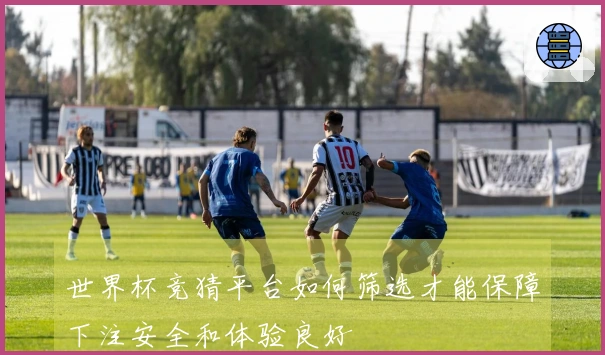 世界杯竞猜平台如何筛选才能保障下注安全和体验良好