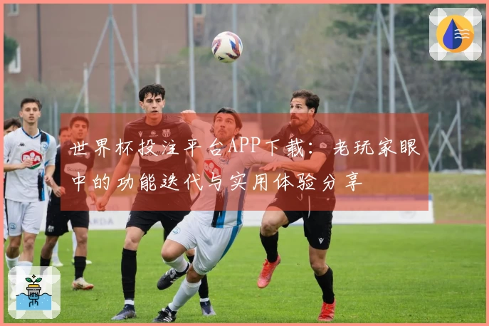 世界杯投注平台APP下载：老玩家眼中的功能迭代与实用体验分享