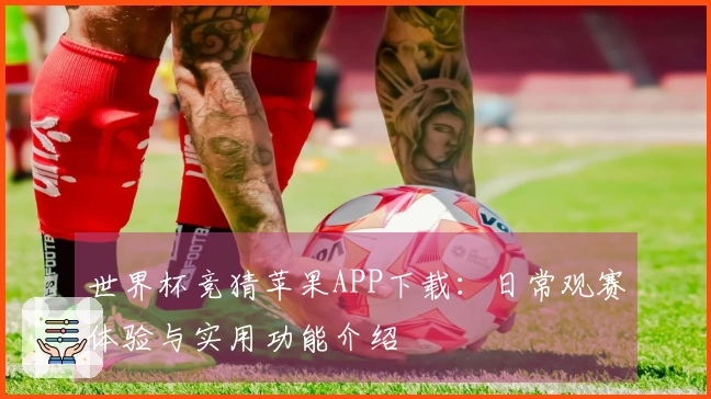 世界杯竞猜苹果APP下载：日常观赛体验与实用功能介绍